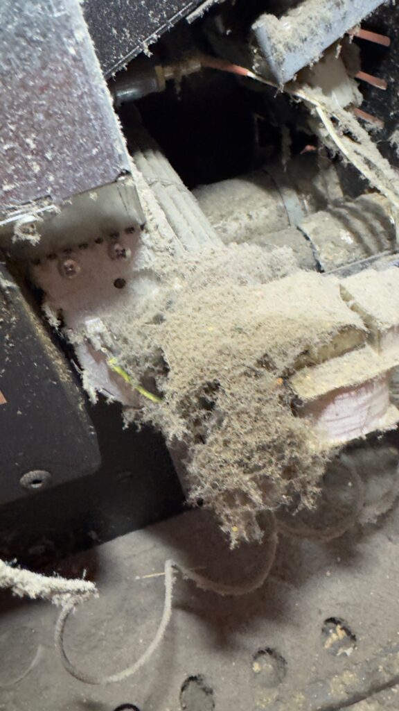 image2 (1)